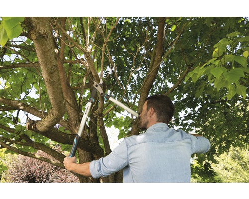 Un homme coupe des branches avec un ébrancheur dans le jardin.