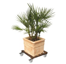 Support roulant pour plantes WagnerSystem Gigant, 45x45 cm-thumb-1