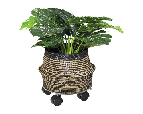 Plante Monstera dans un panier cache-pot à roulettes