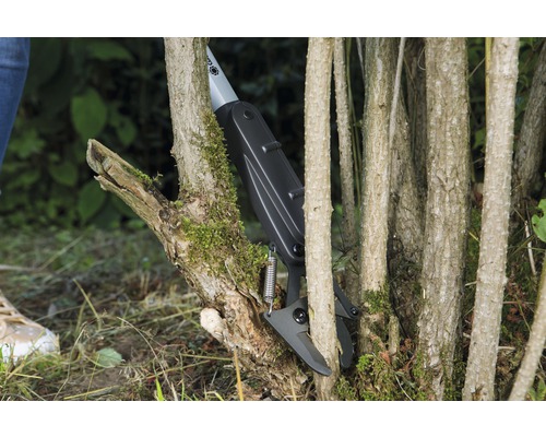 Sécateur en cours d''utilisation pour tailler un arbre