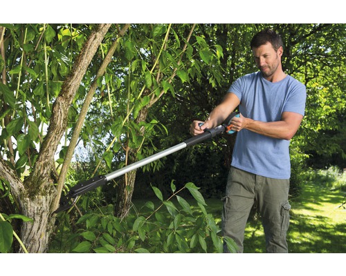 Un homme coupe un arbre avec une cisaille à branche télescopique