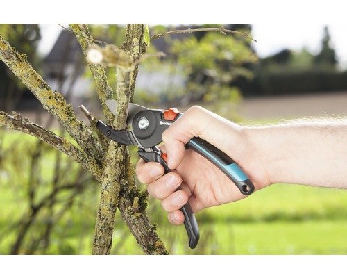 Gartenschere schneidet Ast