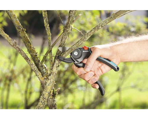 Eine Astschere schneidet einen Ast.