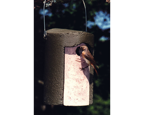 Vogelhaus mit Vogel am Eingang