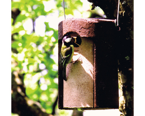 Vogelhaus mit Meise beim Füttern