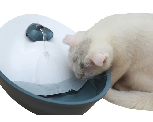 Chat buvant dans une fontaine à chat