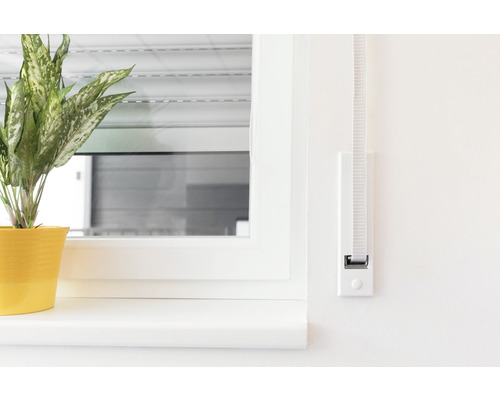 Fenster mit Rollladen und Pflanze im Topf