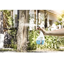 Anwendung von Hunde und Katzen Stopp Spray auf einem Baumstamm zur Fernhaltung von Tieren