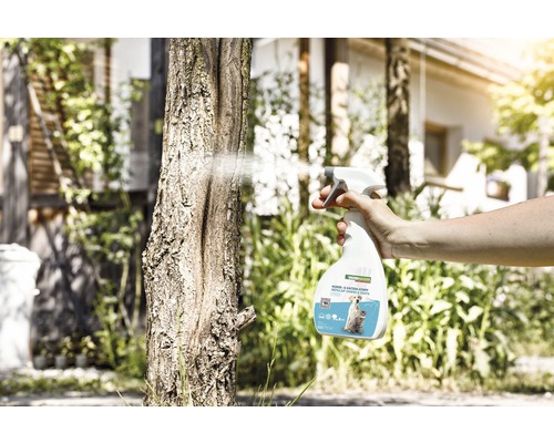 Anwendung von Hunde und Katzen Stopp Spray auf einem Baumstamm zur Fernhaltung von Tieren