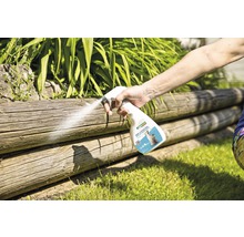 Anwendung von Hunde- und Katzenspray zum Fernhalten von Hunden und Katzen