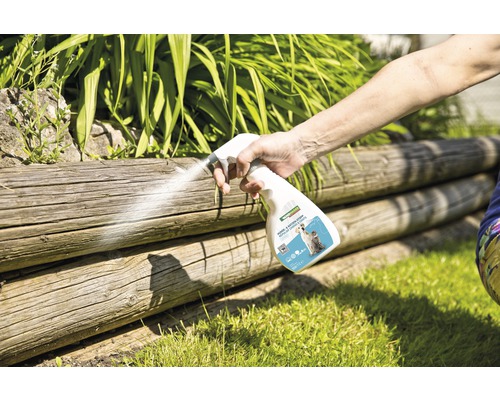 Anwendung von Hunde- und Katzenspray zum Fernhalten von Hunden und Katzen