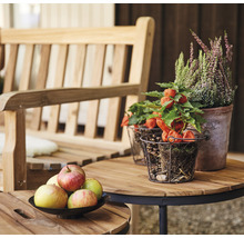 Scène avec un banc en bois, une table ronde avec des pommes et des plantes en pot.