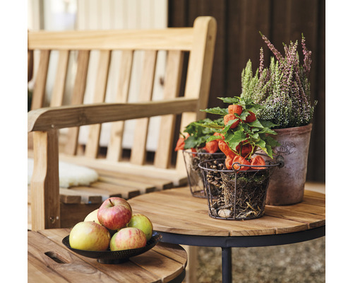 Scène avec un banc en bois, une table ronde avec des pommes et des plantes en pot.