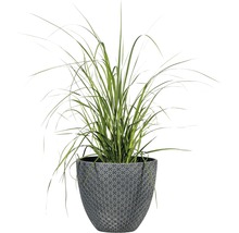 Pot de fleurs Lafiora Lilly pierre artificielle Ø 55 H 48,5 cm noir
