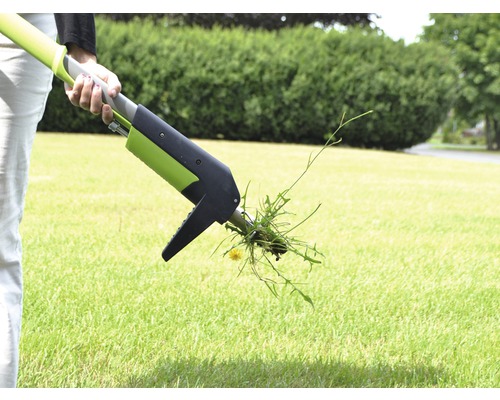 Person verwendet einen Unkrautstecher im Garten
