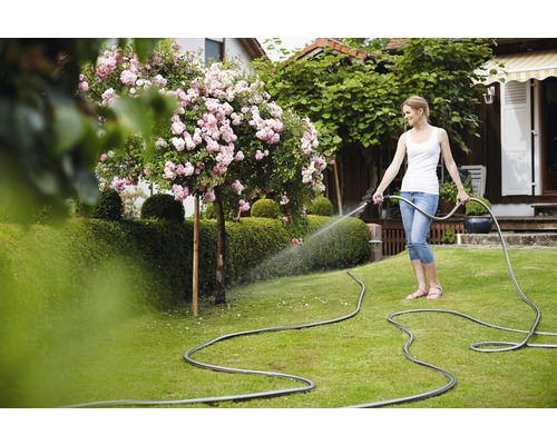 Femme arrose jardin avec tuyau d''arrosage, pelouse et rosier
