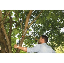 Mann schneidet Baumäste mit einer Astschere