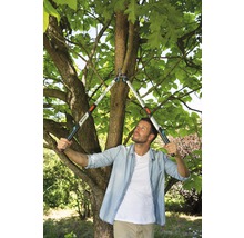 Mann schneidet Baumäste mit einer Astschere im Garten