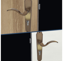 Garniture de ferrures de porte avec rosette à clé sur une porte