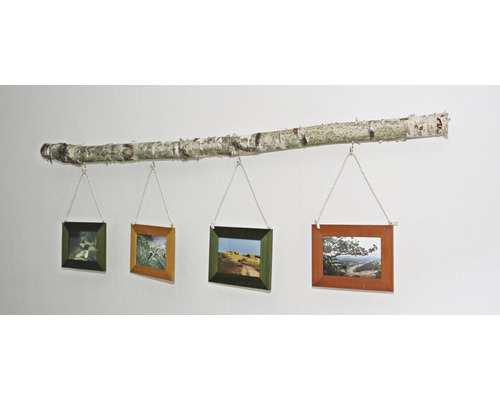 Dekorative Fotogalerie mit Birkenstamm und vier Bilderrahmen