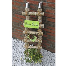 Dekorative Leiter aus Birkenholz mit Pflanzen und dem Schild ''Bin im Garten'' als Gartendekoration