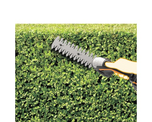 Taille-haie en action pour tailler une haie