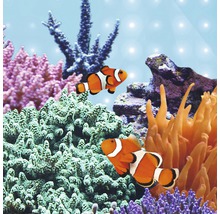 Scène d''aquarium avec poissons-clowns, coraux et pierres