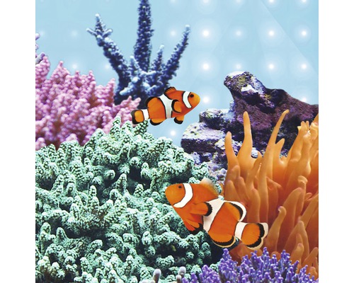 Aquarium avec poissons-clowns et décorations de récifs coralliens