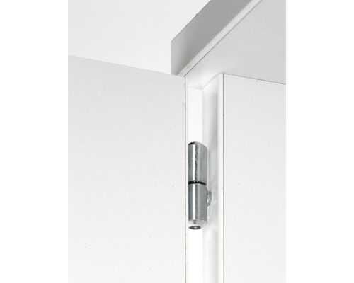 Paumelle sur une porte blanche