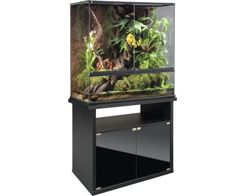 Glasterrarium auf einem Schrank mit Pflanzen und Dekoration