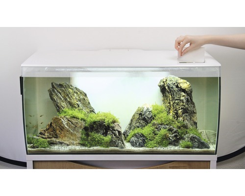 Aquarium aménagé avec couvercle et décoration