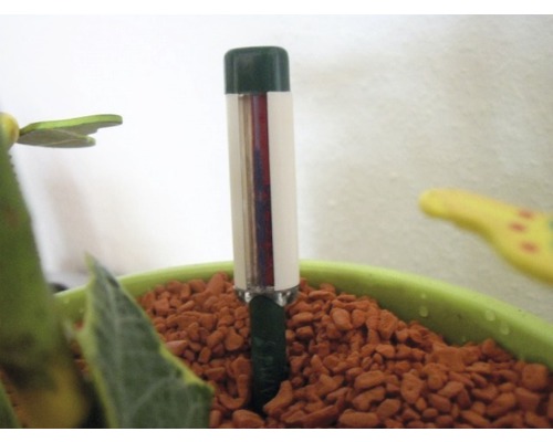 Humidimètre dans un pot de fleurs avec des billes d''argile