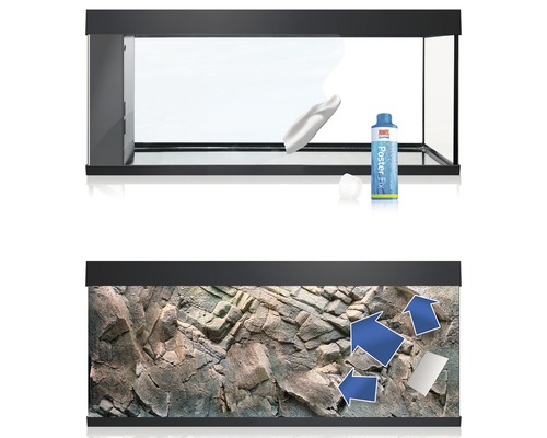 Aquarium avec décoration pour la pose d''un poster