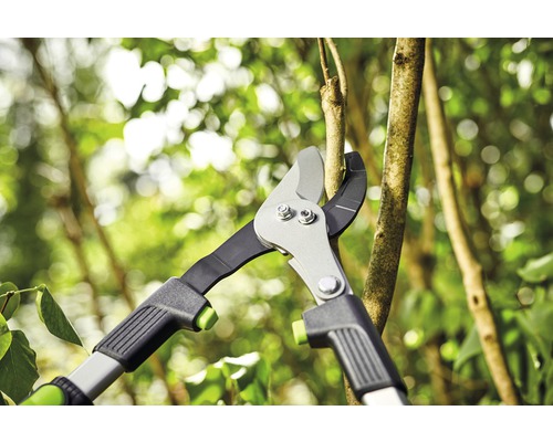 Astschere schneidet einen Ast im Garten