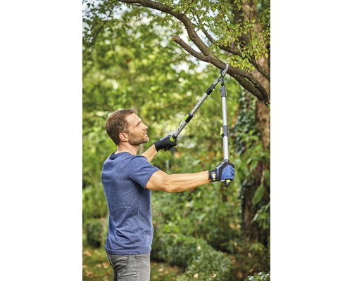 Un homme coupe une branche avec une cisaille à branches dans le jardin.