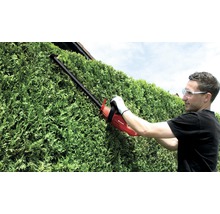 Mann schneidet Hecke mit einer Einhell Heckenschere