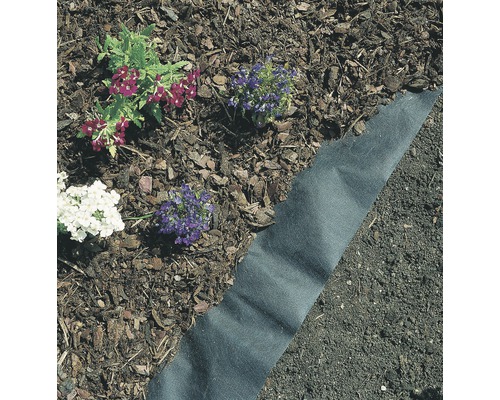 Parterre de fleurs avec fleurs et toile de paillage