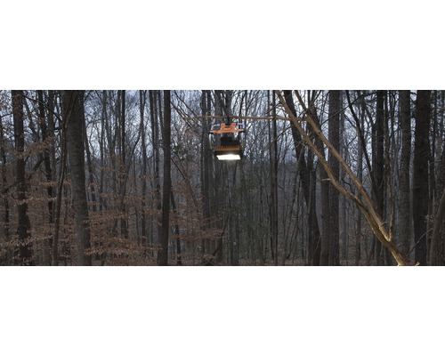 Un projecteur de chantier est suspendu à une branche dans la forêt et fournit de la lumière.