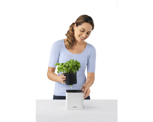 Femme plaçant du basilic dans un pot de fleurs Lechuza avec système d''irrigation