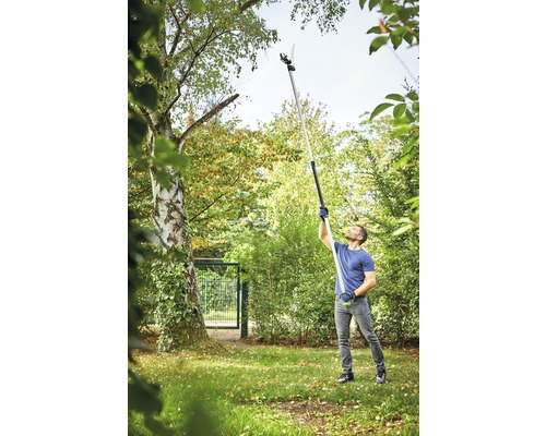 Mann benotzt eng Héichastschéier am Gaart, fir Äscht vun engem Bam ze schneiden.