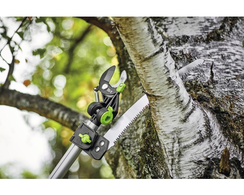 Astschneider mit Säge beim Schneiden eines Astes an einem Baum