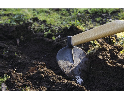 Binette avec manche en bois dans un jardin