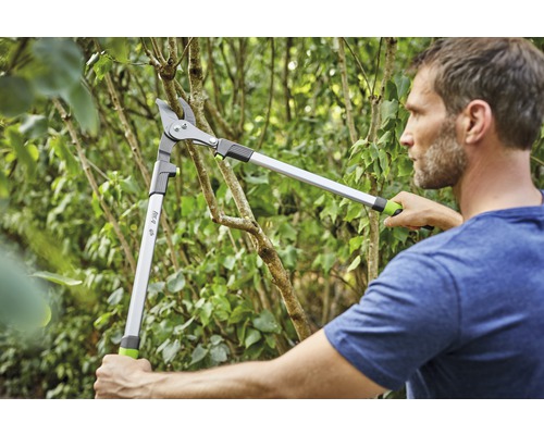 Un homme coupe un arbre avec un ébrancheur.