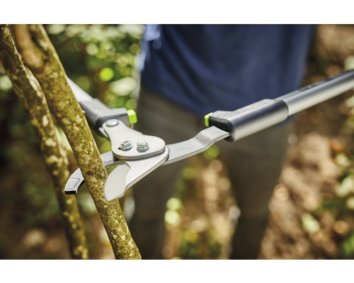 Coupe-branches coupant une branche