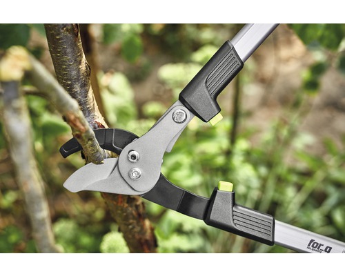 Élagueuse coupant une branche