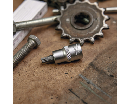 Douille Torx avec vis, chaîne à maillons et roue dentée sur un établi