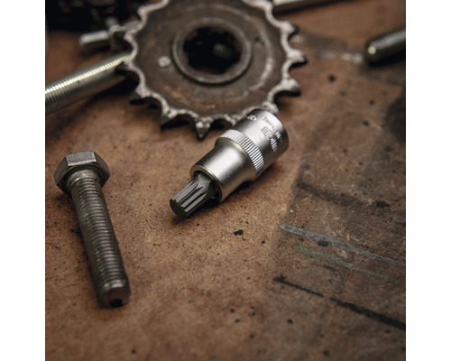 Innenvielzahneinsatz und Schraube auf Werkbank