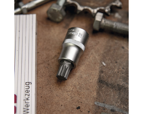 Douille Torx sur un établi