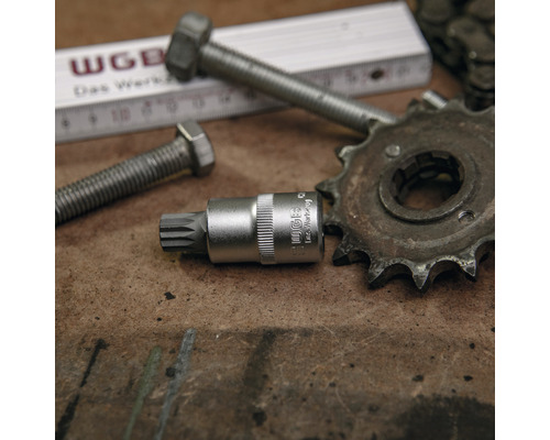 Porte-outil WGB avec vis, bâton de mesure et roue dentée