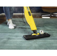 Dampfreiniger in Benutzung auf einem Teppich